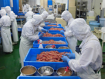 九州丸一食品株式会社の画像